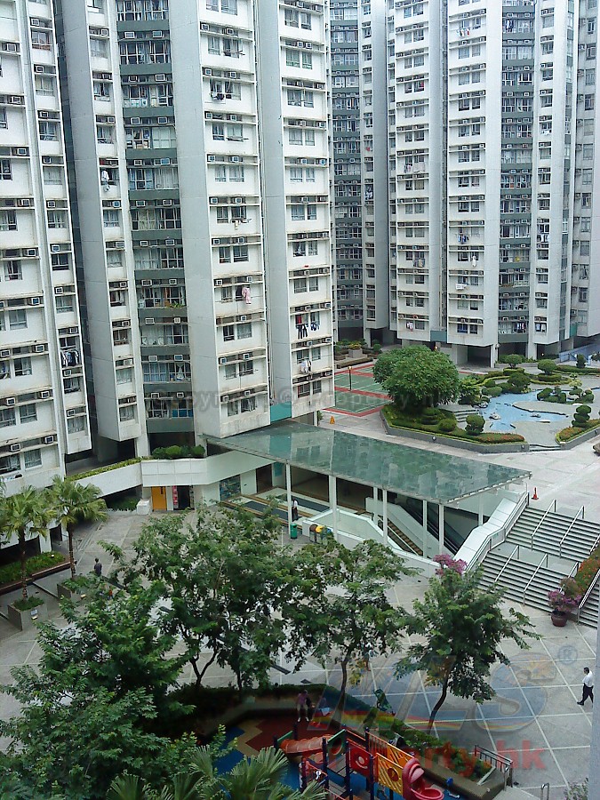 香港黄埔花园居住环境图片