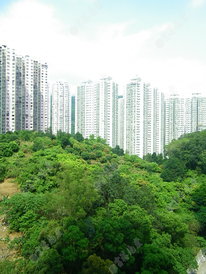 荃德花園 / tsuen tak gardens 樓盤詳情, 荃德花園 - 地產 - 筍盤